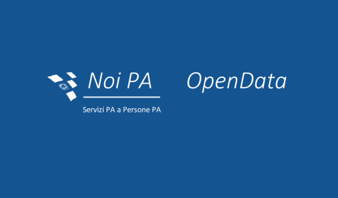 Icona_NoiPA